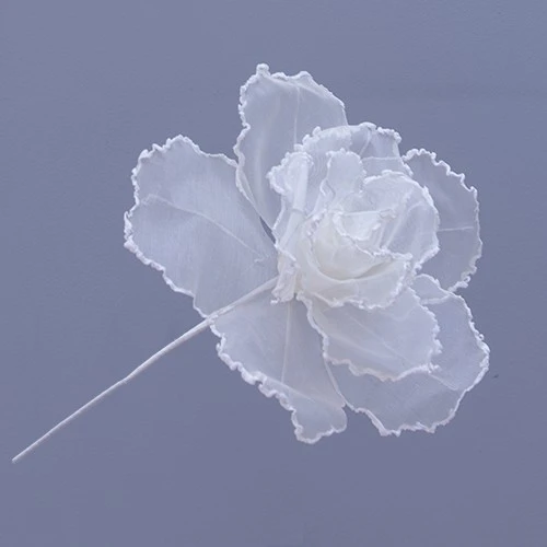 ROSE FIORE DM.28 H.40 AVORIO 