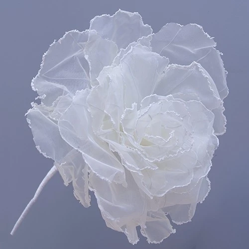 ROSE FIORE DM.60 H.65 AVORIO 