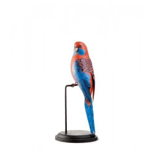 Rosella Cremisi decoorativa