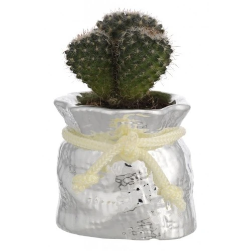 SACCO PORTAVASO CM. 6x6 CON CORDONE COLORATO