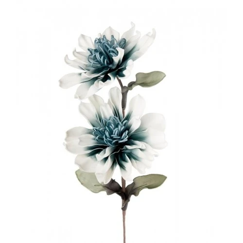 Scabiosa avio