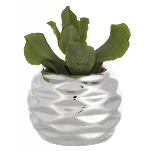 SFERA PORTAVASO D. 6 FESONI ORIZZONTALI