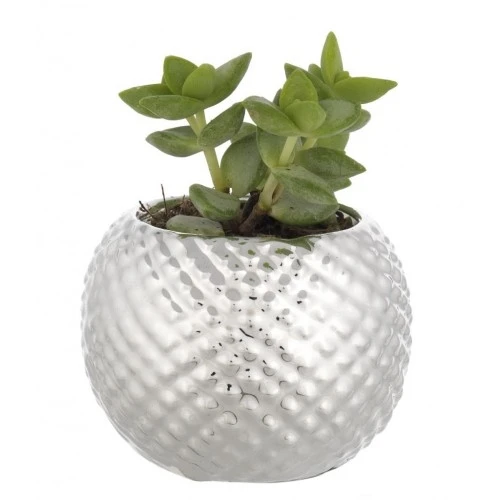 SFERA PORTAVASO D. 6 NIDO D'APE