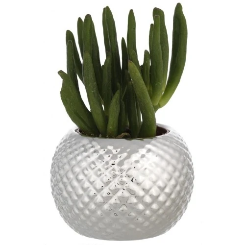 SFERA PORTAVASO D. 9 NIDO D'APE