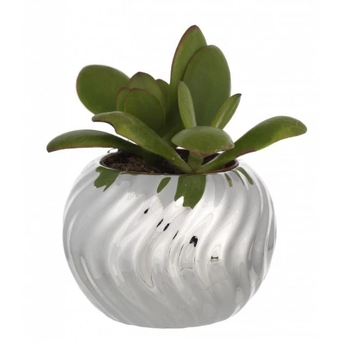 SFERA PORTAVASO D. 9 TORCIGLIONE