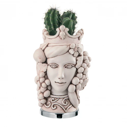 TESTA MORO REGINA H 9,5 MARNE'