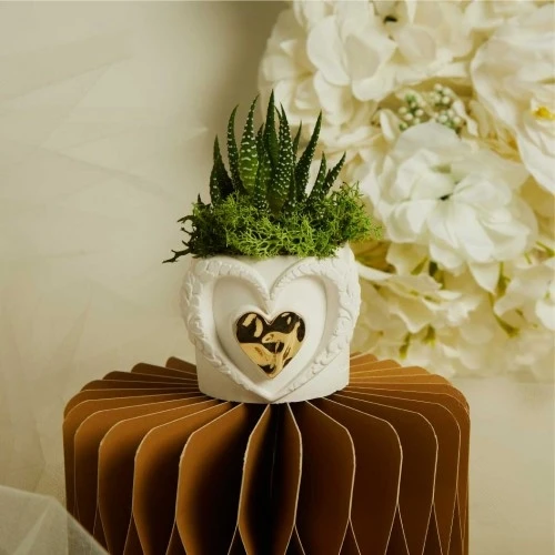 Bomboniera Claraluna Vasetto con Cuori e Pianta Grassa Inclusa cm. 6X5,5 - ORO