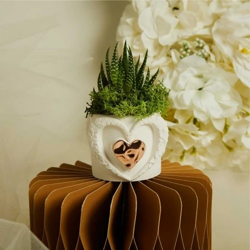 Bomboniera Claraluna Vasetto Cuore e Pianta Grassa Inclusa cm. 6X5,5 - ORO ROSA