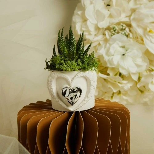 Bomboniera Claraluna Vasetto con Cuore e Pianta Grassa Inclusa cm. 6X5,5 - Argento