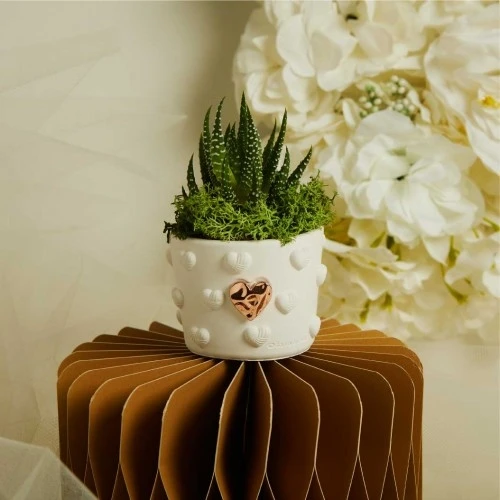 VASETTO CLARALUNA CON CUORI E PIANTINA GRASSA CM. 6X5,5 - ORO ROSA