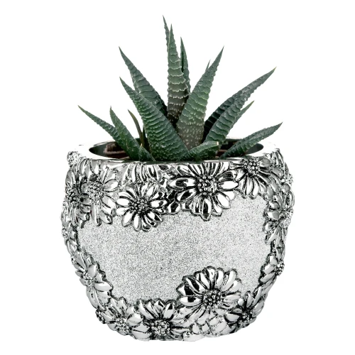 VASETTO PIANTINA MARGHERITE H.7 ARG