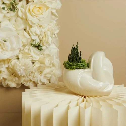 VASO CUORE BIANCO CON PIANTINA - BOMBONIERA CLARALUNA CM.13,5X9X12,5