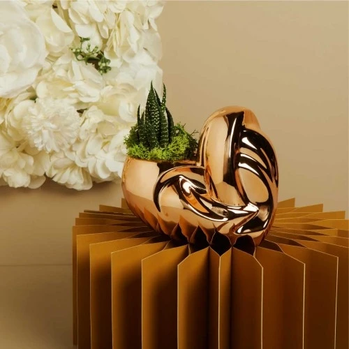 Bomboniera Claraluna: Vaso Cuore Oro Rosa con Piantina Grassa cm. 13,5x9x12,5