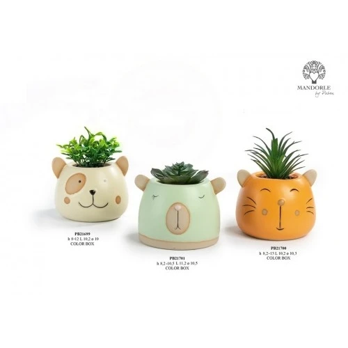 Bomboniera Vasetto con Piantina in Ceramica: Orsetto con Scatola Regalo cm.11,2