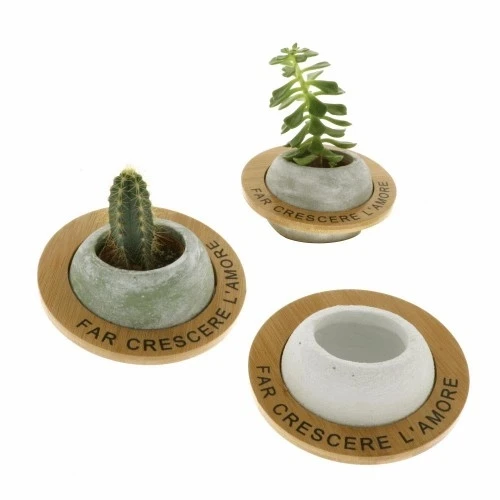 VENERE PORTAPIANTA DM.13 