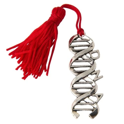 DECORAZIONE ZAMA DNA BIOLOGIA 