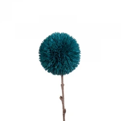 Allium Avio