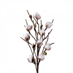 Fiore Del Cotone