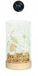 VASO VETRO CON LED E FIORI